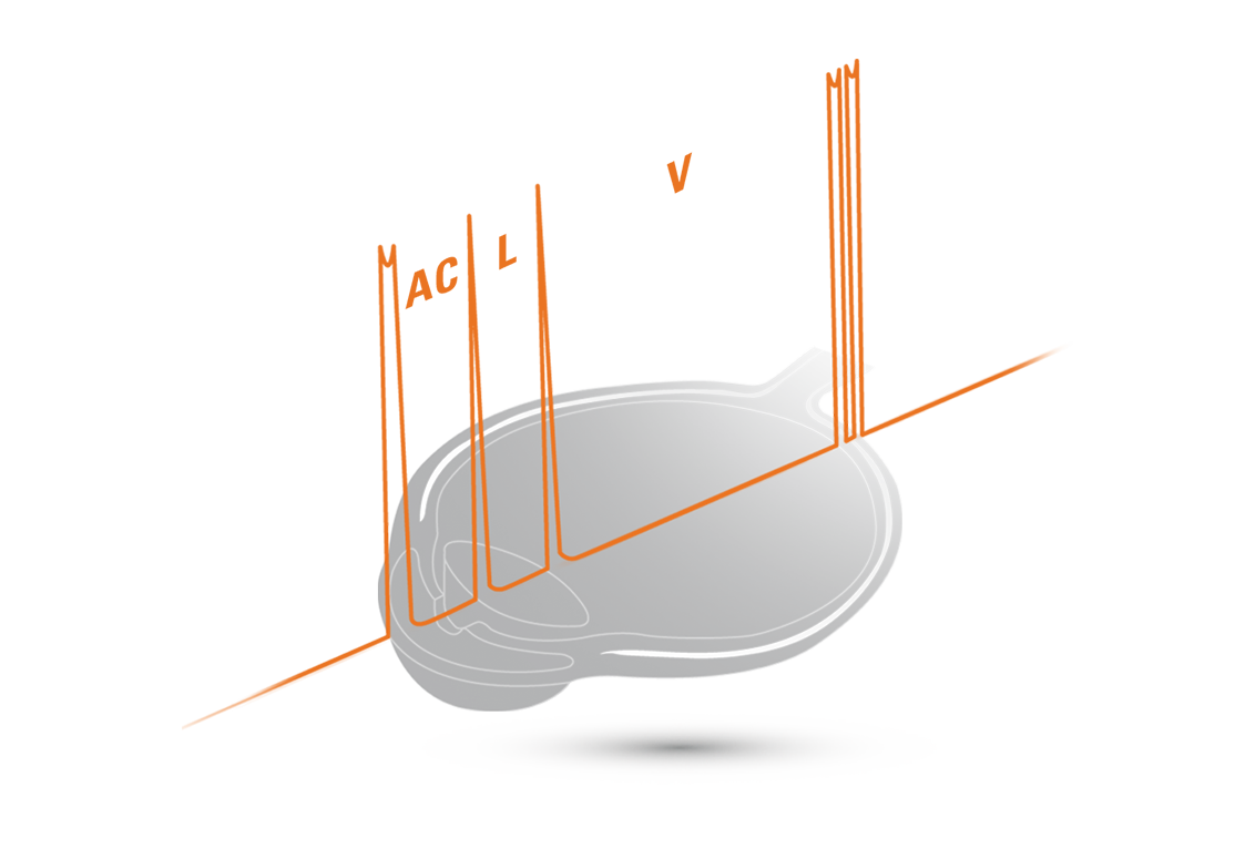 Compact Touch biometrie